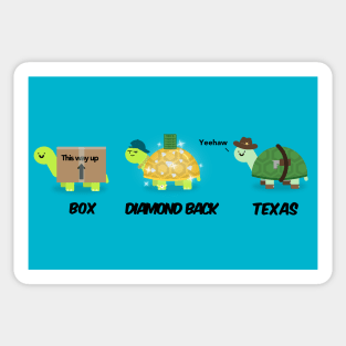 Turtle types version 1/2 selection Sticker